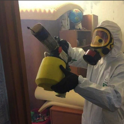 Уничтожение клопов в квартире. Достоевская